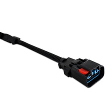 Load image into Gallery viewer, Mishimoto Wiring Harnesses Mishimoto 2003-2004 Ford 6.0L Powerstroke Glow Plug Harness