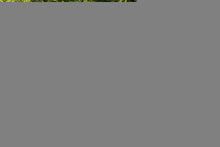 Load image into Gallery viewer, 2 Inch Lift Kit 21-Up Ford Bronco 4WD Rough Country
