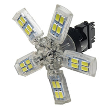 Load image into Gallery viewer, ORACLE Lighting Bulbs Oracle 3157 15 SMD 3 Chip Spider Bulb (Single) - Cool White SEE WARRANTY