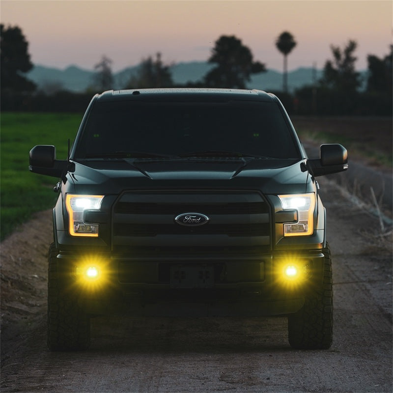 Rigid Industries Light Bars & Cubes Rigid Industries D-Series SAE Fog Yellow/White Pair