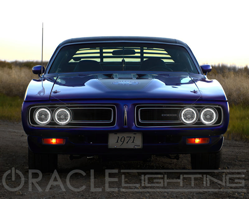 ORACLE Lighting Headlights Oracle Pre-Installed Lights 5.75 IN. Sealed Beam - White Halo SEE WARRANTY