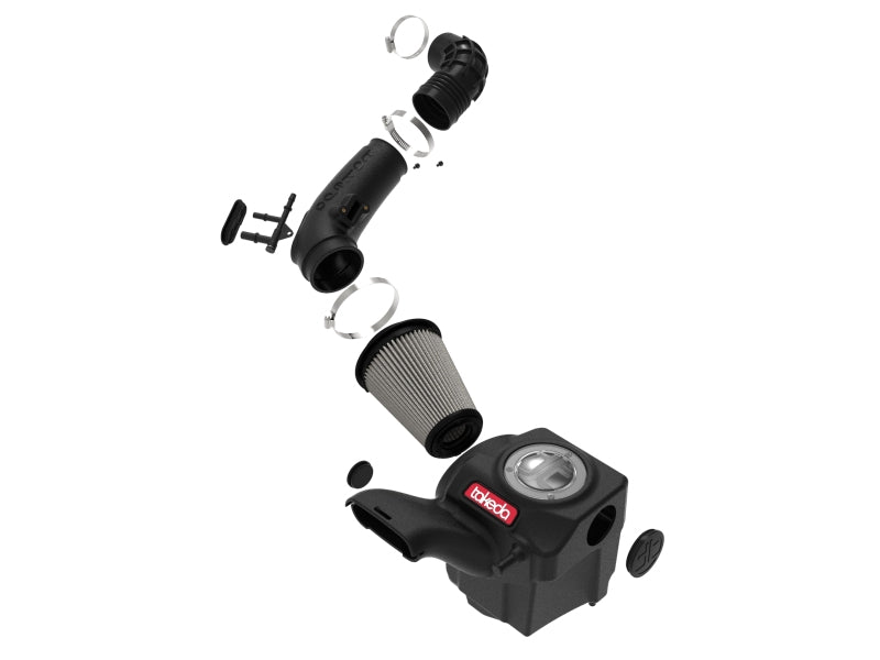 aFe Cold Air Intakes aFe POWER Momentum GT Pro Dry S Intake System 16-19 Ford Fiesta ST L4-1.6L (t)