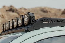 Load image into Gallery viewer, Photo - Close Up