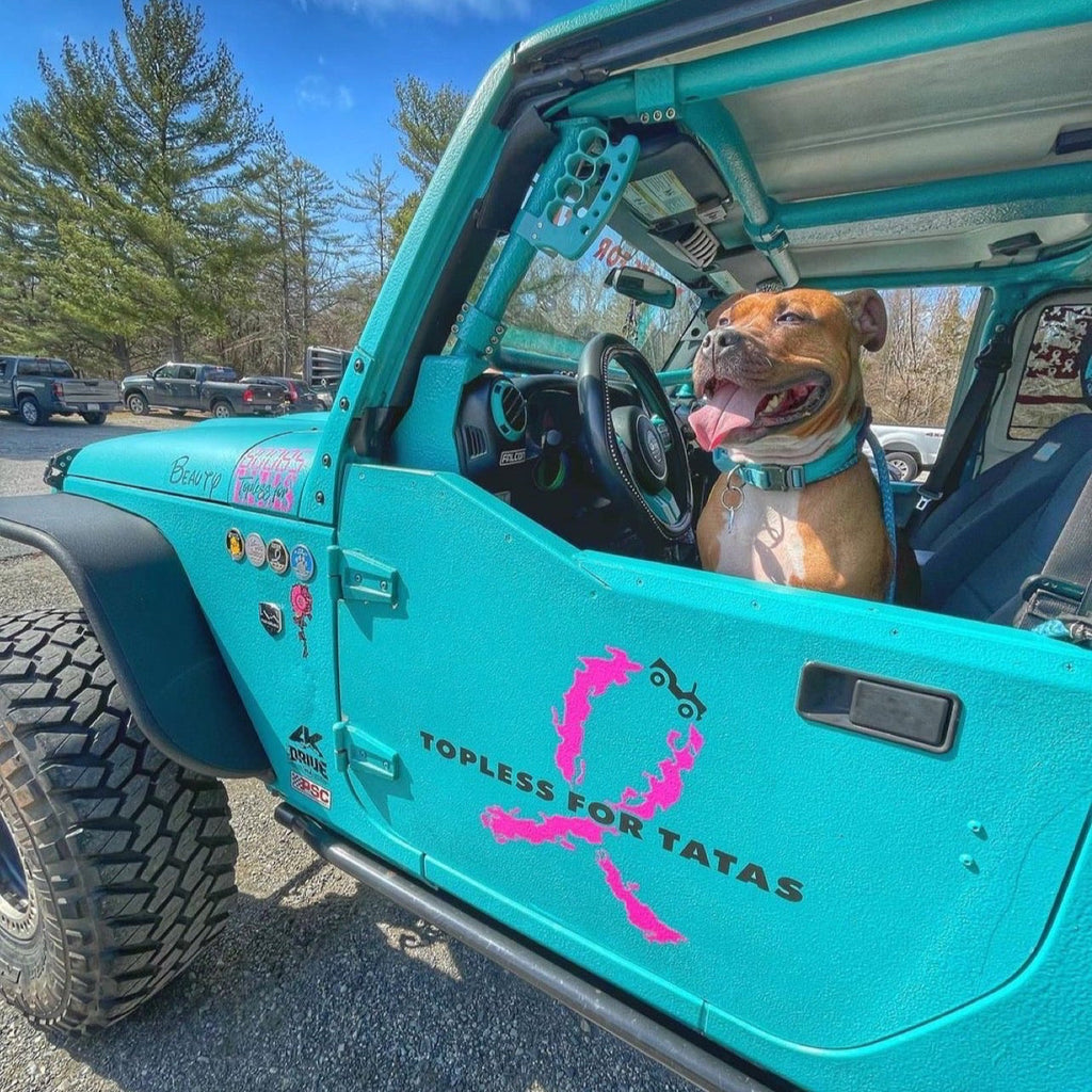CMM Offroad turquoise Jeep with aftermarket roll cage — available from Offroad Trading Company