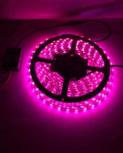 Load image into Gallery viewer, Quake LED Auxiliary Light RGB LED Accent Strip Lights Quad-Lock/Interlock Compatible - QSL200