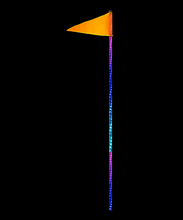 Load image into Gallery viewer, Quake LED Whip Light 6 Foot HD RGB Accent LED Light Whip Single - QW493