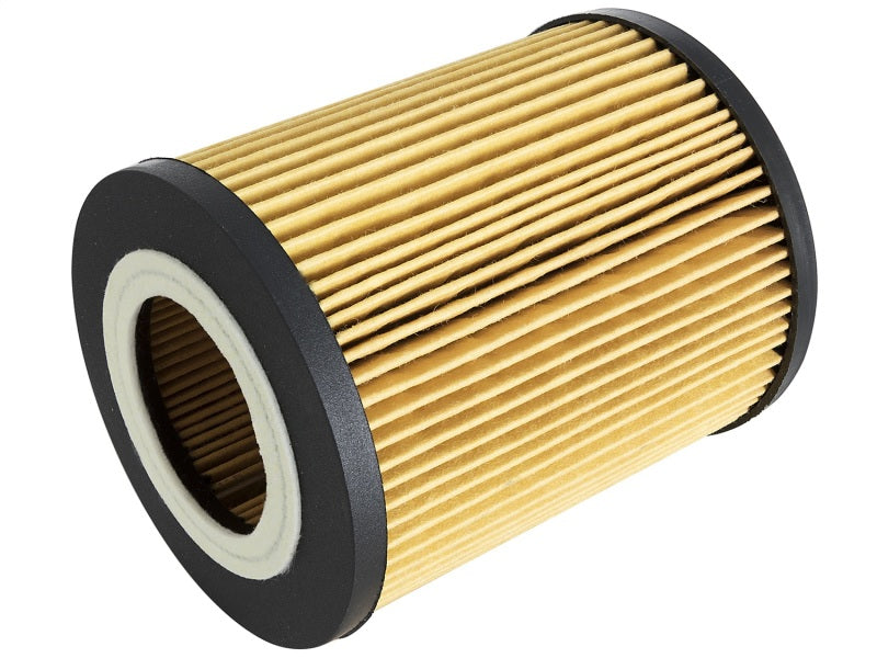 aFe Oil Filters aFe ProGuard D2 Fluid Filters Oil F/F OIL BMW Gas Cars 96-06 L6