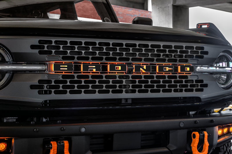 ORACLE Lighting Light Accessories and Wiring ORACLE Lighting Universal Illuminated LED Letter Badges - Matte Blk Surface Finish - L SEE WARRANTY