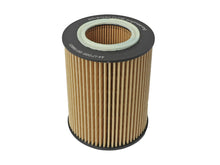 Load image into Gallery viewer, aFe Oil Filters aFe ProGuard D2 Fluid Filters Oil F/F OIL BMW Gas Cars 96-06 L6