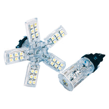 Load image into Gallery viewer, ORACLE Lighting Bulbs Oracle 3157 15 SMD 3 Chip Spider Bulb (Single) - Cool White SEE WARRANTY