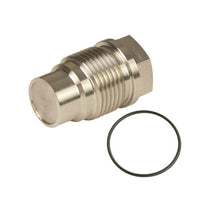 Load image into Gallery viewer, BD Diesel Fuel Rails BD Diesel Common Rail Fuel Plug - 2007.5-2012 Dodge 6.7L/2004.5-2010 Chevy Duramax