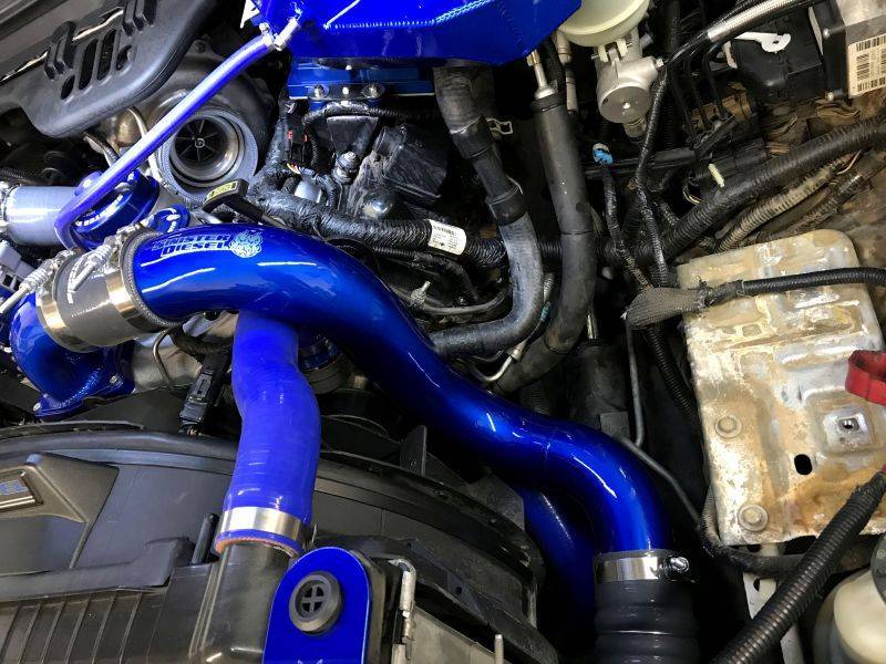Sinister Diesel Intercooler Pipe Kits Sinister Diesel 03-07 Ford 6.0L Powerstroke Cold Side Charge Pipe