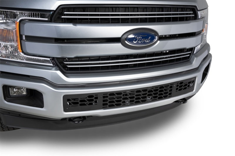 Putco Grilles Putco 18-20 Ford F-150 - Hex Shield - Black Powder Coated Bumper Grille Inserts