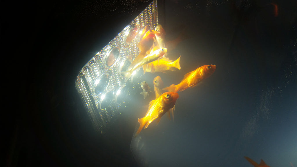 Quake LED Vehicle-Mounted Spotlight 4 Inch Work Light 27 Watt 30 Degree Spot Fracture Series - QFR203