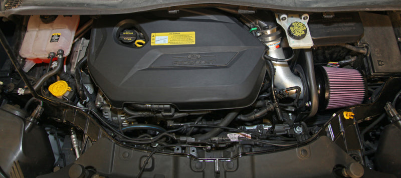 K&N Engineering Cold Air Intakes K&N 13-15 Ford Escape 2.0L/1.6L L4 Typhoon Cold Air Intake