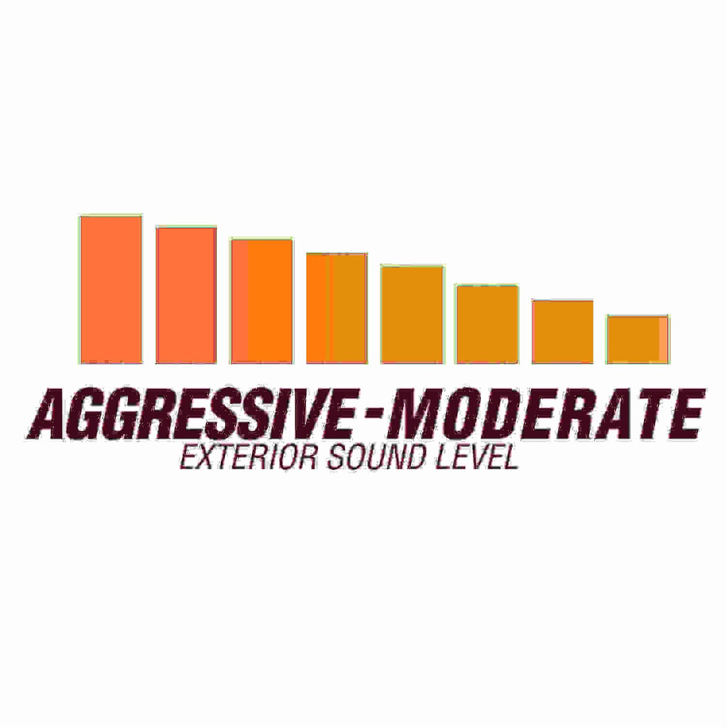 Flowmaster Exhaust System Kit FlowFX Cat-Back Exhaust System - 717893