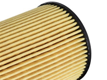 Load image into Gallery viewer, aFe Oil Filters Pro GUARD HD Oil Filter RAM 1500 EcoDiesel 14-16 V6-3.0L (td)