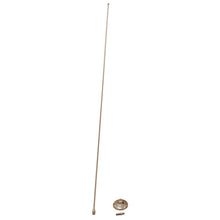 Load image into Gallery viewer, Rugged Ridge Antennas Rugged Ridge 97-06 Jeep Wrangler TJ/LJ Stainless Steel Antenna Mast &amp; Base